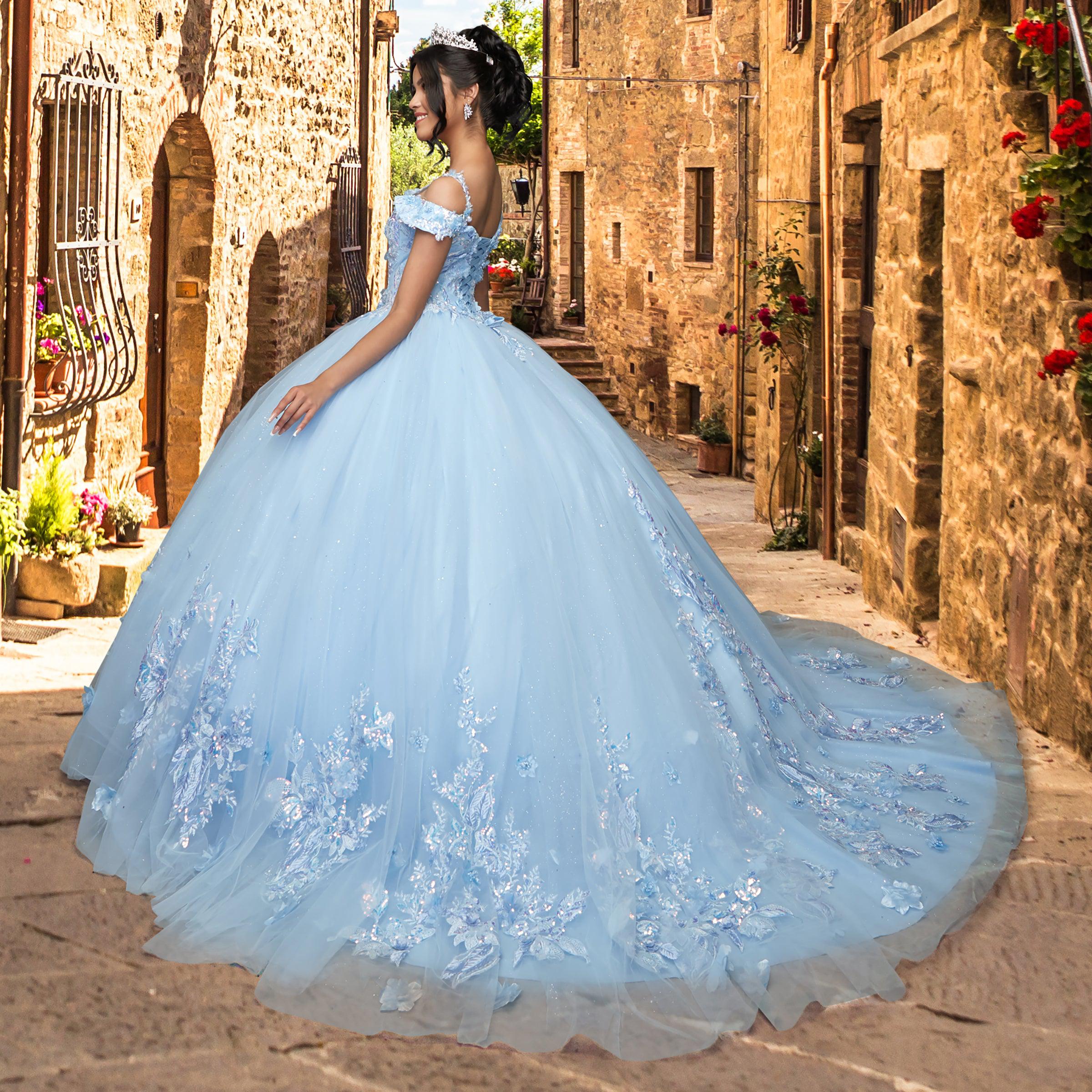 Quinceañera Sample Dress QK202