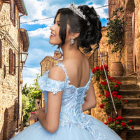 Quinceañera Sample Dress QK202