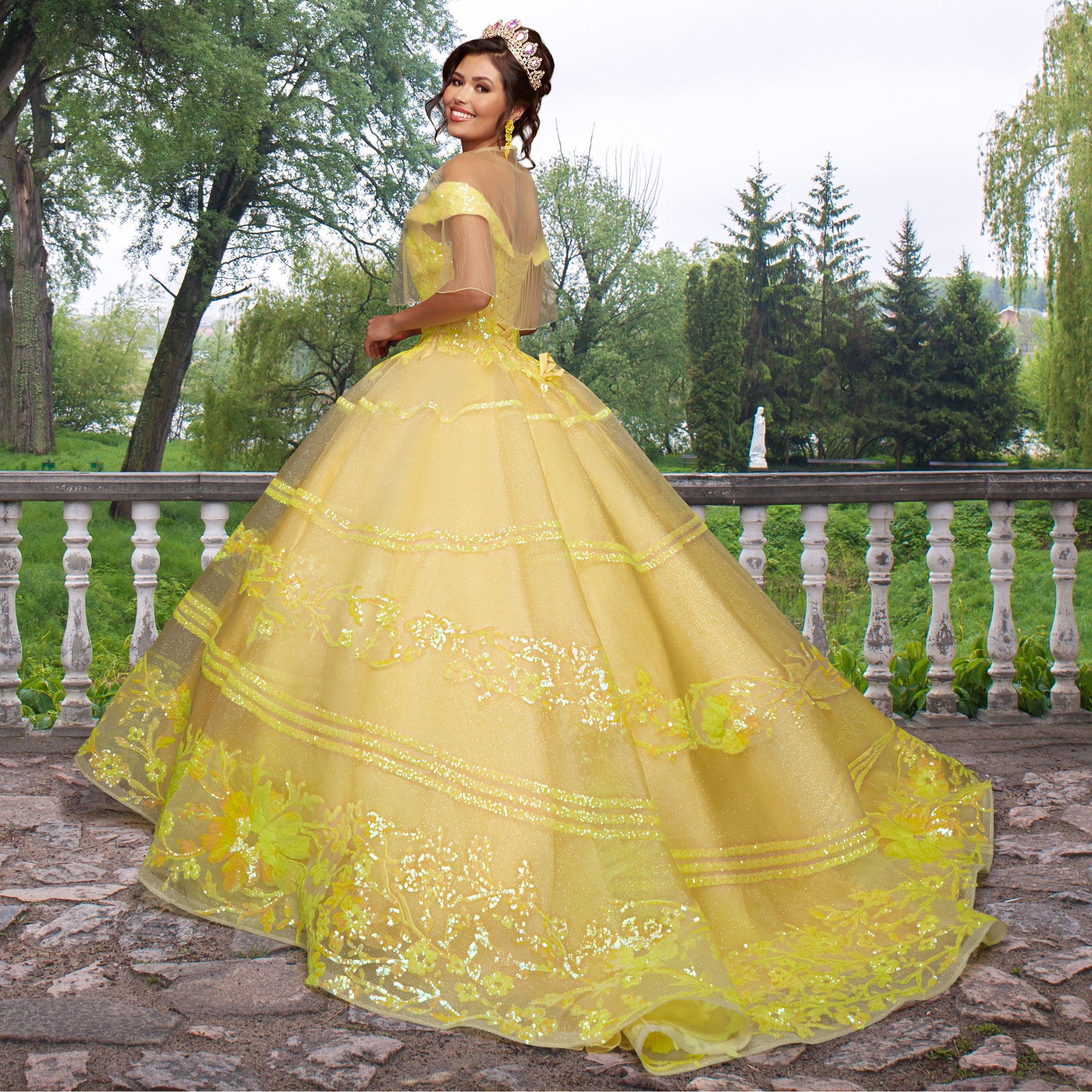 Quinceañera Sample Dress QF104