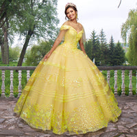 Quinceañera Sample Dress QF104