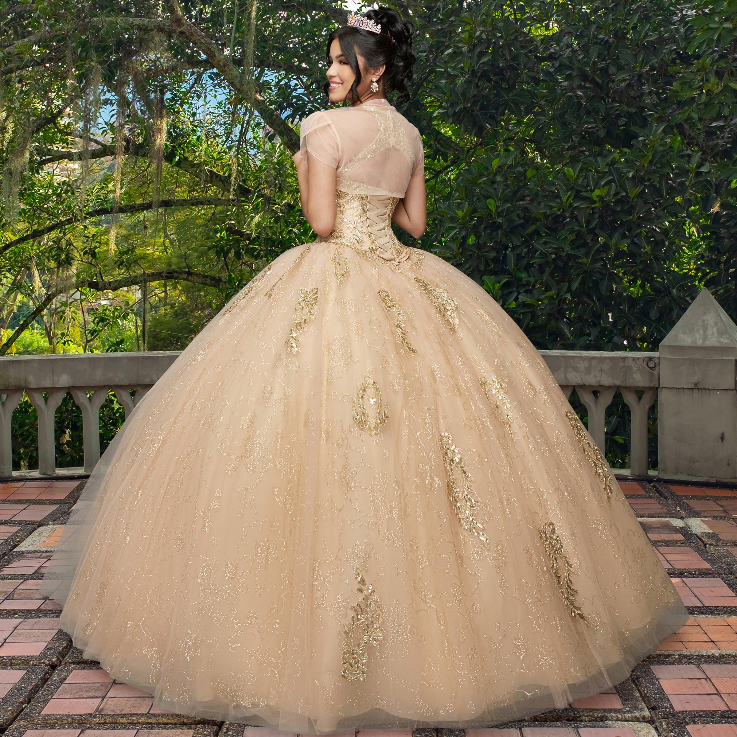 Quinceañera Sample Dress QF111