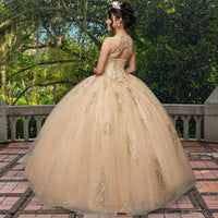 Quinceañera Sample Dress QF111