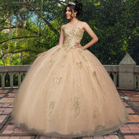 Quinceañera Sample Dress QF111