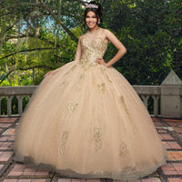 Quinceañera Sample Dress QF111