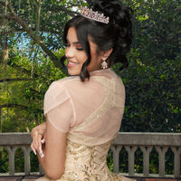 Quinceañera Sample Dress QF111