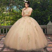 Quinceañera Sample Dress QF111