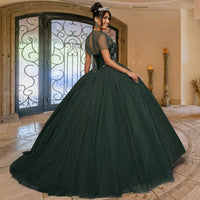 Quinceañera Sample Dress QY304