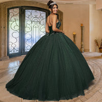 Quinceañera Sample Dress QY304