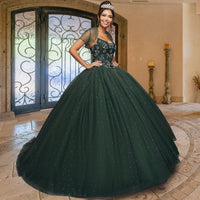 Quinceañera Sample Dress QY304