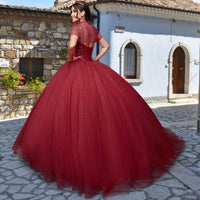 Quinceañera Sample Dress QY304