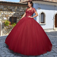 Quinceañera Sample Dress QY304