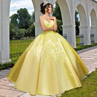 Quinceañera Sample Dress QF106