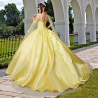 Quinceañera Sample Dress QF106