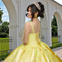 Quinceañera Sample Dress QF106