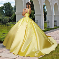 Quinceañera Sample Dress QF106