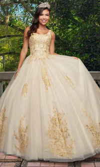 Quinceañera Sample Dress QY310