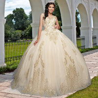 Quinceañera Sample Dress QX415