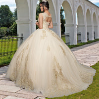 Quinceañera Sample Dress QX415