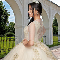 Quinceañera Sample Dress QX415