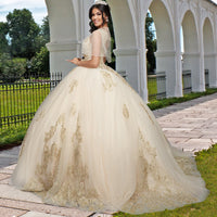 Quinceañera Sample Dress QX415