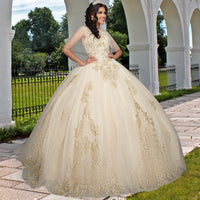 Quinceañera Sample Dress QX415