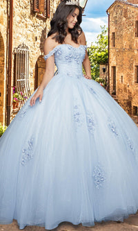 Quinceañera Sample Dress QY307