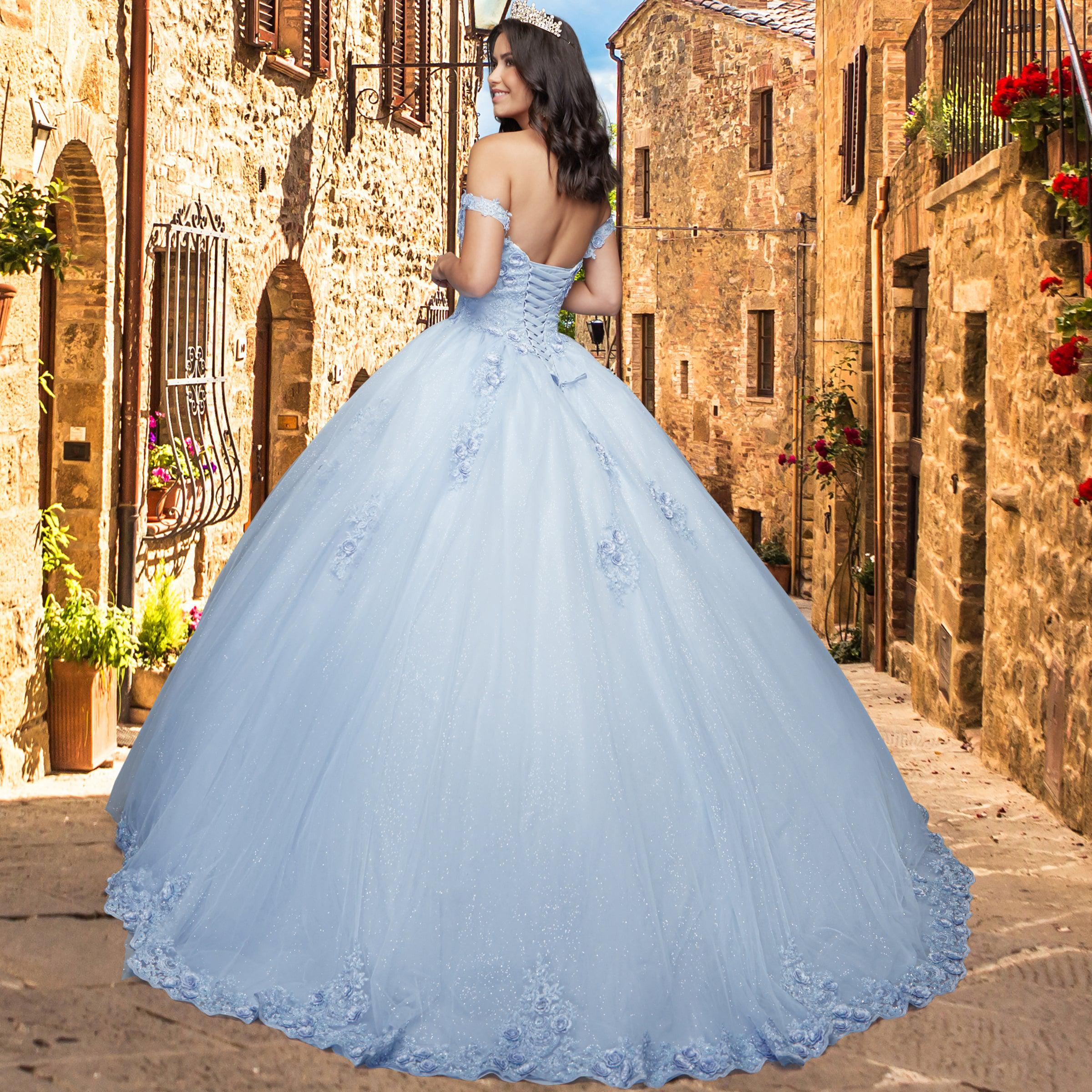 Quinceañera Sample Dress QY307