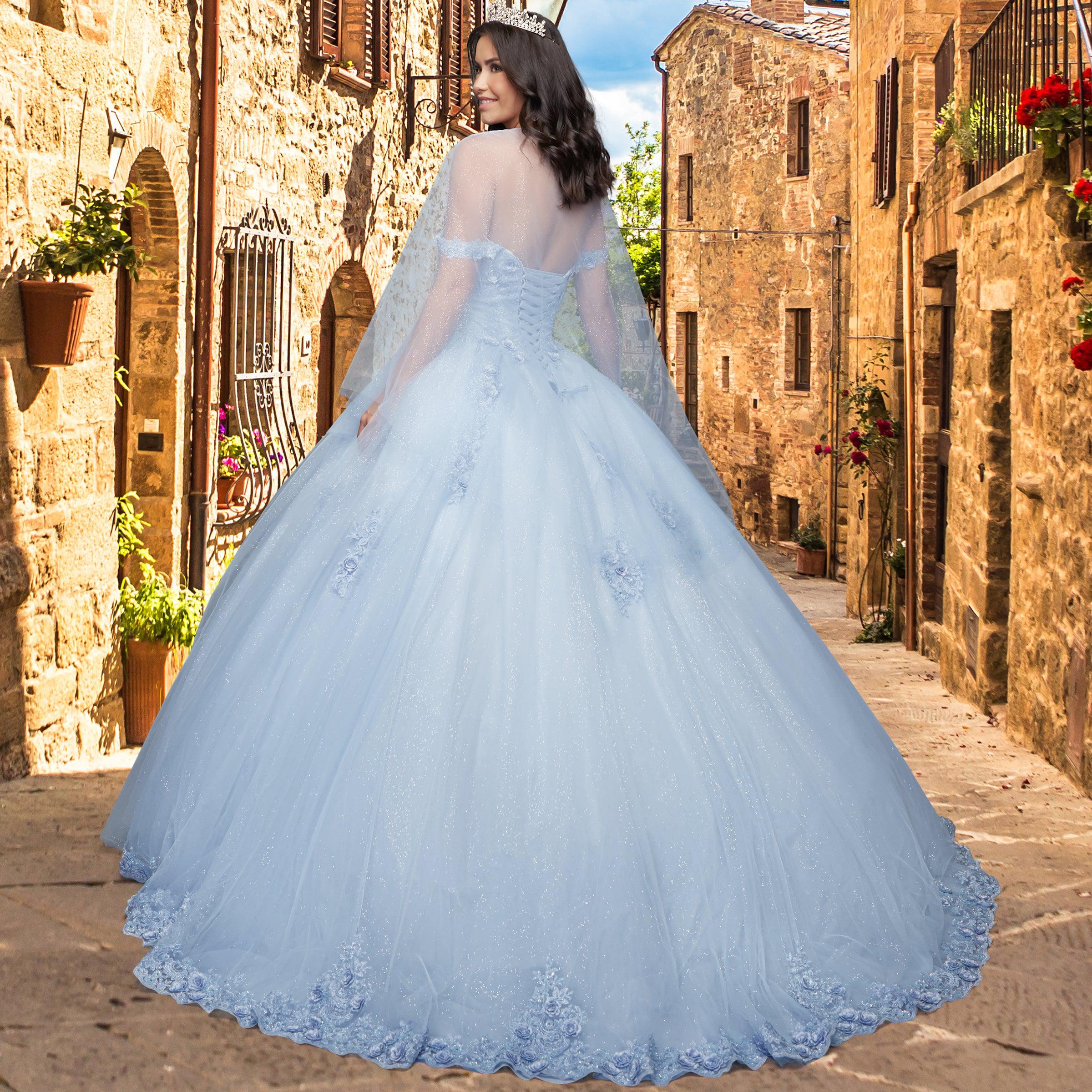 Quinceañera Sample Dress QY307