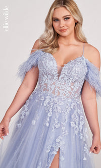 Glitter Ball Gown With Off The Shoulder Feather Sleeves